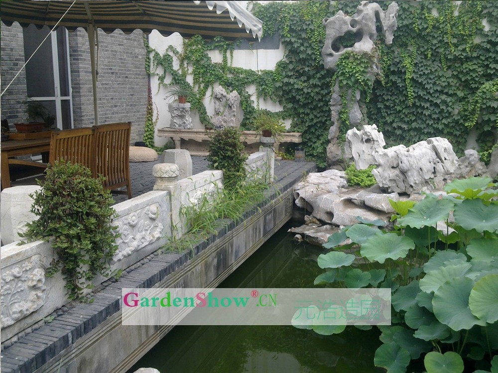 图片1